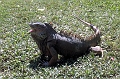 Mexico 015